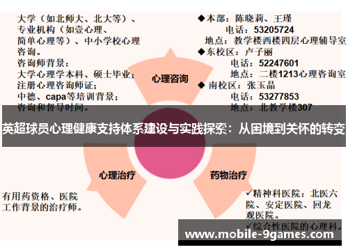 英超球员心理健康支持体系建设与实践探索：从困境到关怀的转变