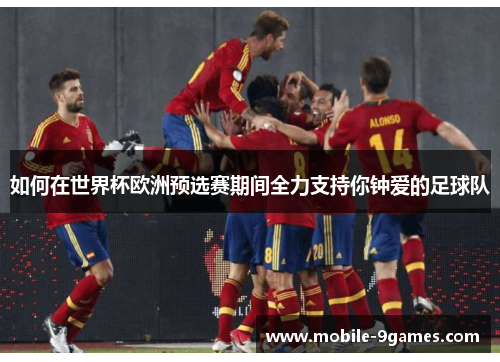 如何在世界杯欧洲预选赛期间全力支持你钟爱的足球队