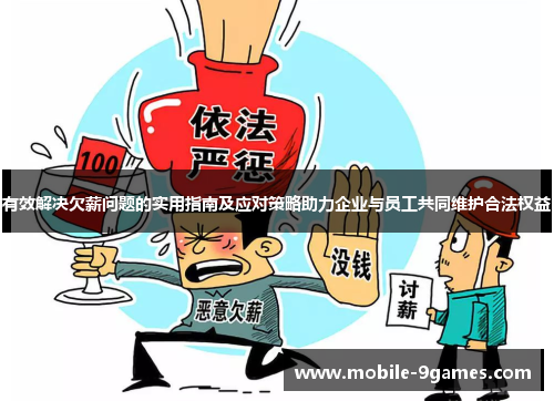 有效解决欠薪问题的实用指南及应对策略助力企业与员工共同维护合法权益