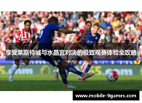 享受莱斯特城与水晶宫对决的极致观赛体验全攻略