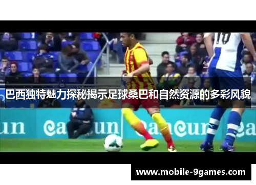 巴西独特魅力探秘揭示足球桑巴和自然资源的多彩风貌