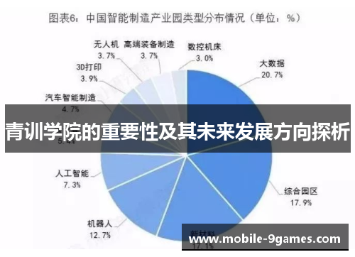 青训学院的重要性及其未来发展方向探析