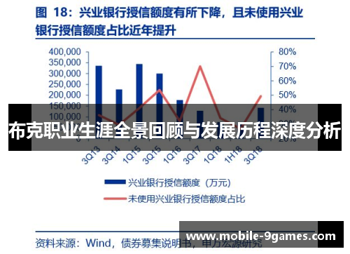 布克职业生涯全景回顾与发展历程深度分析