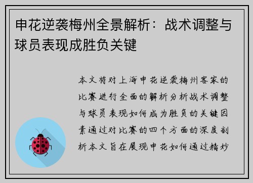 申花逆袭梅州全景解析：战术调整与球员表现成胜负关键