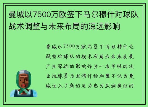 曼城以7500万欧签下马尔穆什对球队战术调整与未来布局的深远影响 曼城以7500万欧签下马尔穆什对球队战术调整与未来布局的深远影响