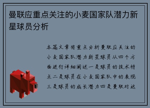 曼联应重点关注的小麦国家队潜力新星球员分析